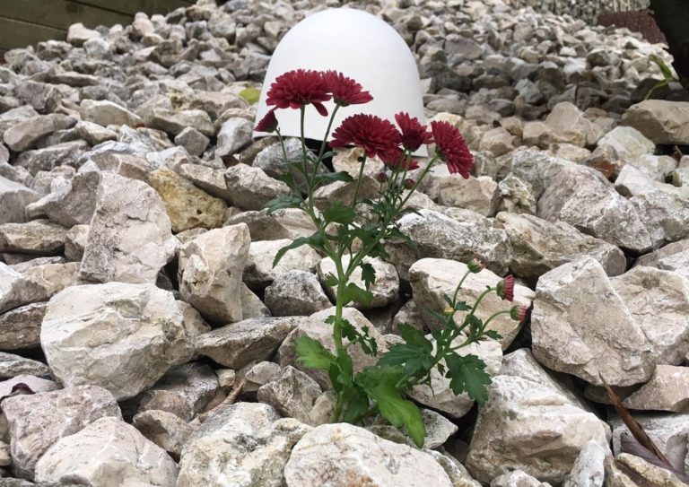 Të pagjetunit , poezi nga Shqipe Bytyqi
