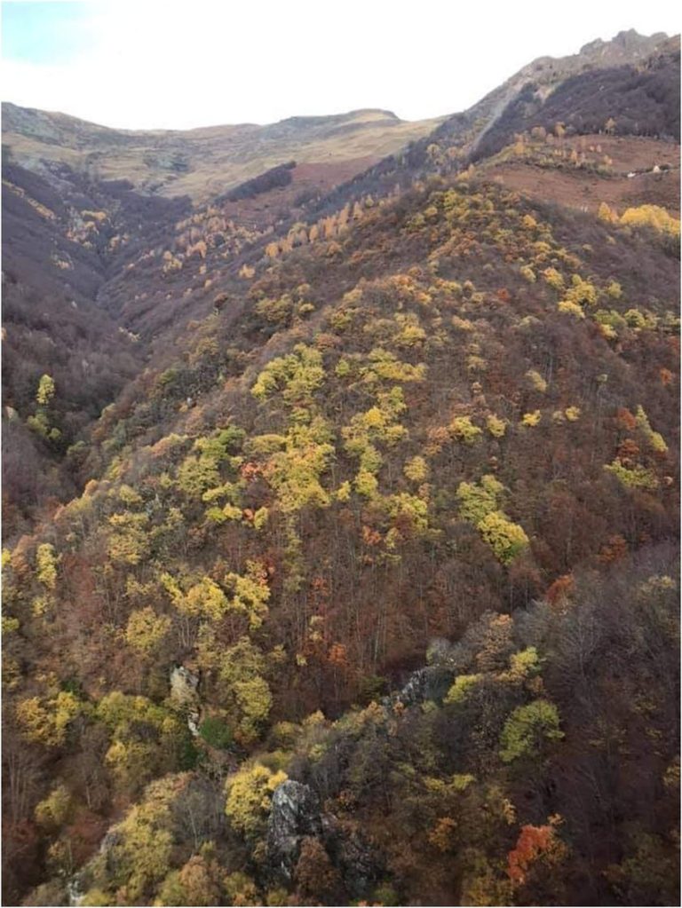 Vërtejshta dhe rruga e vjetër për Prizren , sipas gojëdhënave dhe dokumenteve të vjetra
