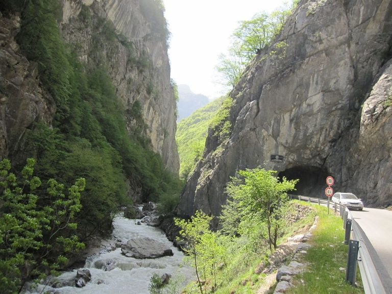 Rugovishtja mes ruajtjes dhe asimilimit gjuhësor