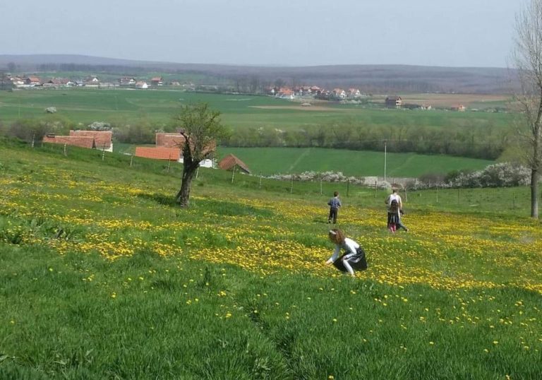 Pjesë të zgjedhura nga thesari popullor i Turjakës 