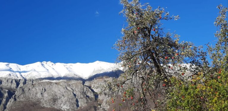 N’Malsinë teme, edhe stinët janë besnike