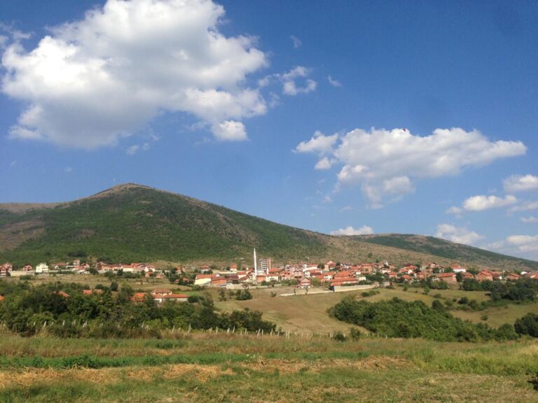 Podrimçakja takohet me çobanin turjakas në vreshtë  