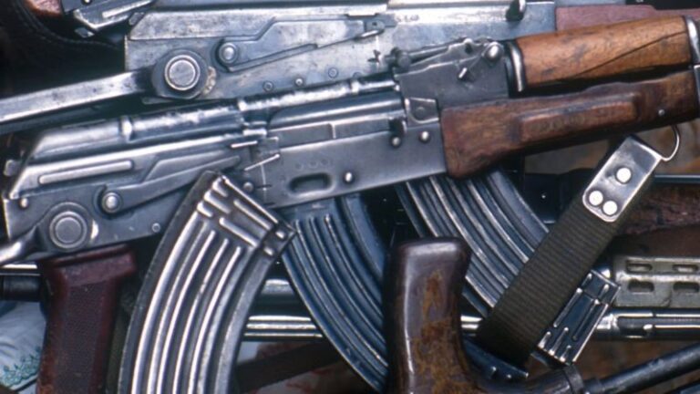 Armët, dhuna dhe shthurja morale po e çojnë shoqërinë në krizë të thellë