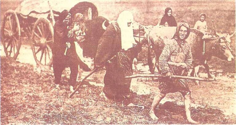 Akuzë për gjenocidin dyshekullor serbian ndaj shqiptarëve 1877 – 1999