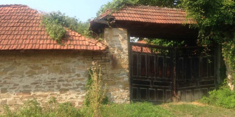 Fjalimi i Murat Xhakjes në Kurshumli, në prani të oficerëve të Vjenës më 28 maj 1878