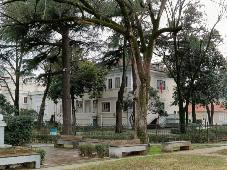 Ermira Murati, Angjelin Prejlocaj dhe shkrimtarja Lea Ypi , tre anëtarë të rinjë të Akademisë së Shkencave Shqiptare në Tiranë