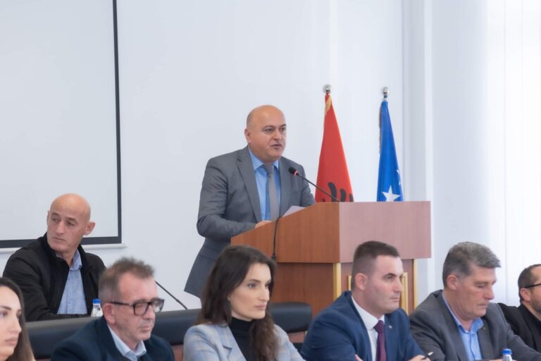 “Fluturuesit politik”: hajde, kush po jep më shumë?!      