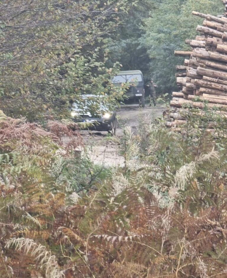 Marshi i opozitës në dritën e luftës hibride