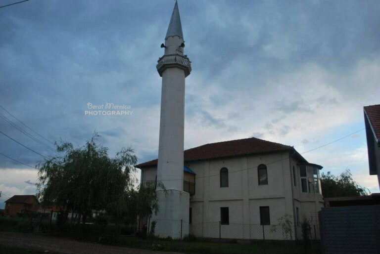Vushtrria 2025 , qyteti i lashtë që s’po më lë të fle!