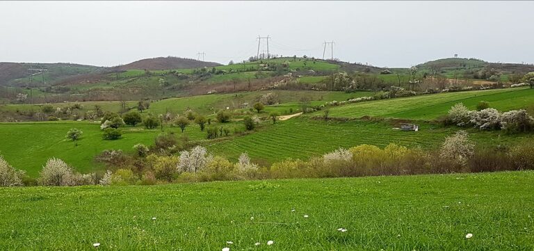 Pse heshtet gjaku i derdhur i banorëve të Përpellacit dhe uzurpimi i pronave të tyre nga Serbia?!