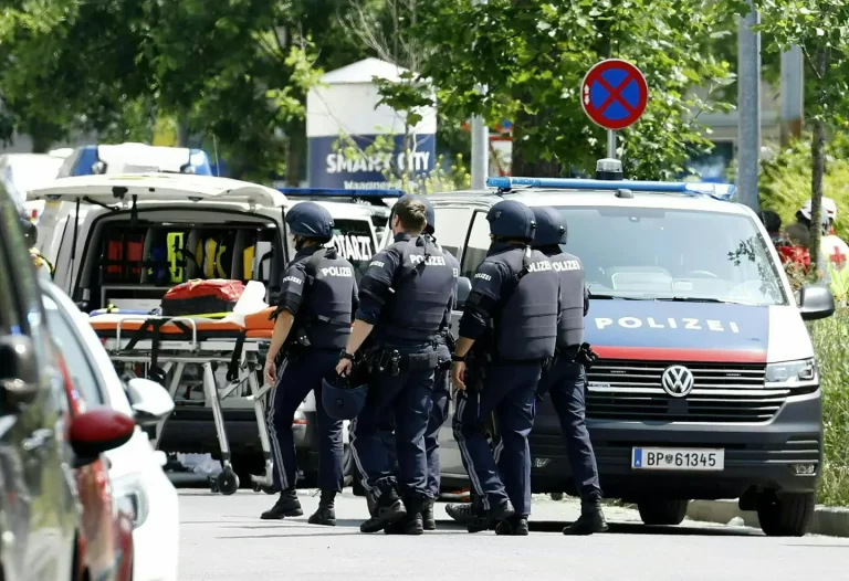 Dhjetë vdiqën pas një gjuajtje me armë në Austri. Spitali lokal duhet të jetë i mbushur