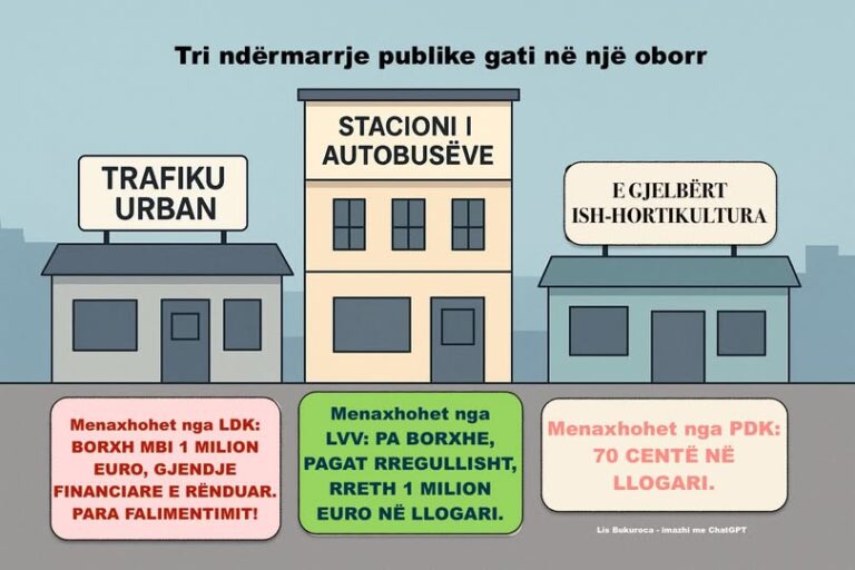 Të dashur anëtarë të LDK-së: Ne nuk e votojmë buxhetin, por do të protestojmë pse nuk e votuam!