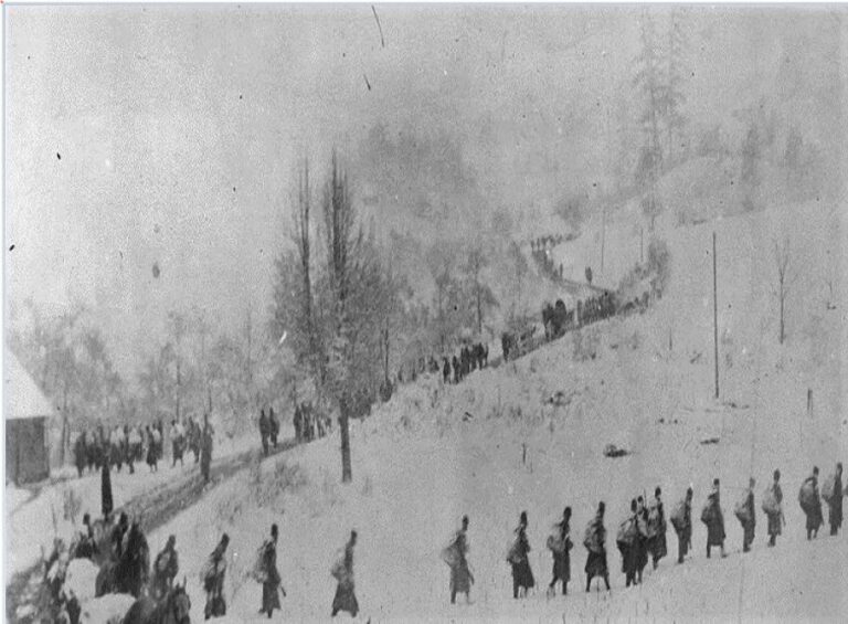 Mes viteve 1912 dhe 1941, në Kosovë janë vendosur mes 60.000 dhe 65.000 kolonë nga Mbretëria e Serbisë dhe Malit të ZI