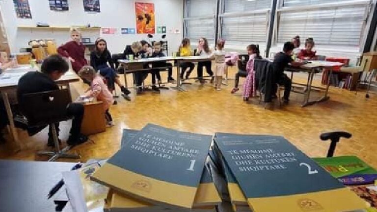 Mërgata: votë po, përfaqësim jo