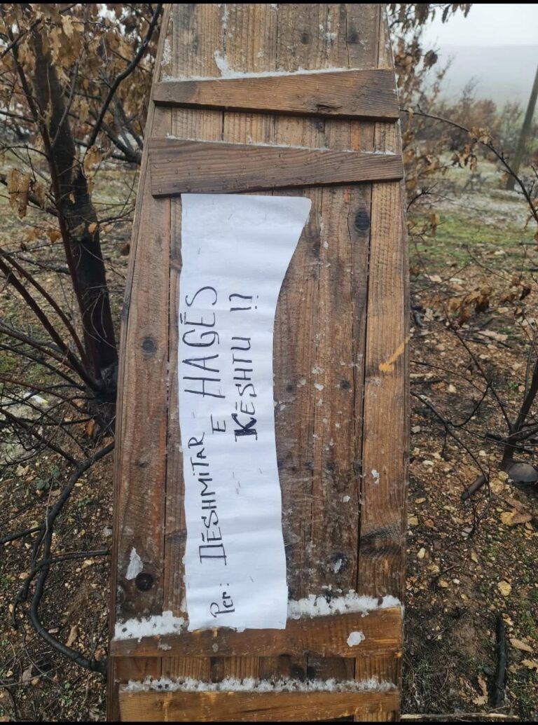 A është dikush që mund t’ia përcjellë këtë foto Gjyqit të Hagës, këtë “tabut” simbolik për dëshmitarët në Hagë?!