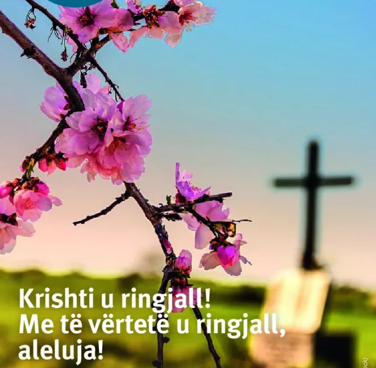 Kreshmët na ftojnë të ecim pas Krishtit dhe Krishti është rruga drejt Zotit