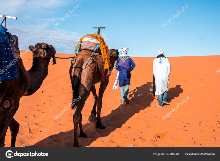 Nëse vërtetë jeni “95% myslimanë” , atëherë është shumë nëse kaq shqiptarë marrin emra arabë, dmth përfaqësim i plotë nga një fytyrë arabe!