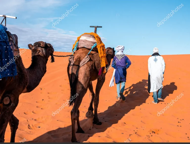 Islami, imperializëm arab (?)