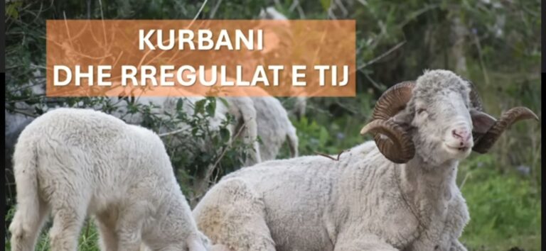 “Kurbani” në ekranet tona, therje masive mesjetare, përballë syve të fëmijëve!