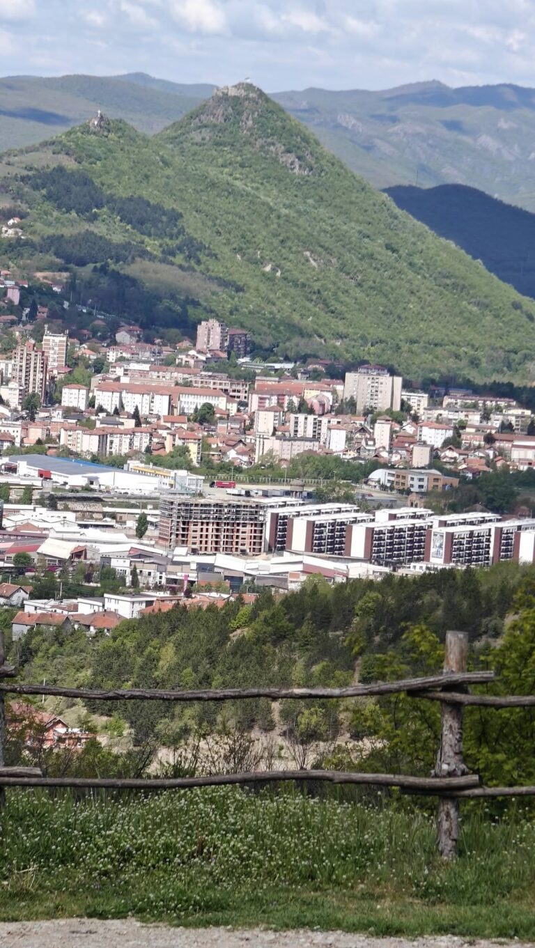Një vit nga hapja e zyrës së Lëvizjes së Deçanit – Dega në Mitrovicë, përballje me ata që duan ta zëvendësojnë identitetin tonë kombëtar