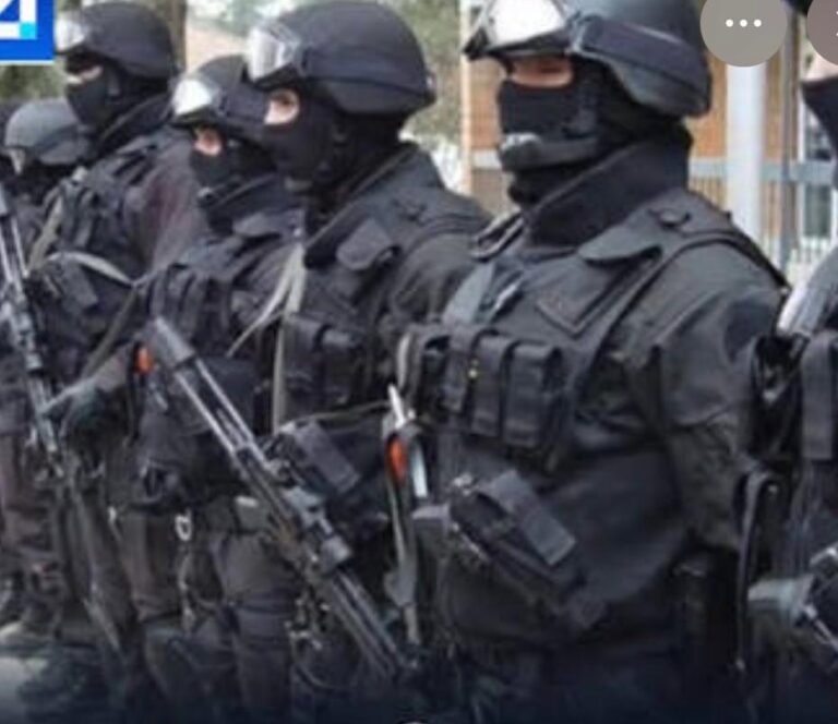 Xhandarmëria kosovare, nga iluzioni i mbrojtjes ndërkombëtare te ambicia për shtet relevant në rajon