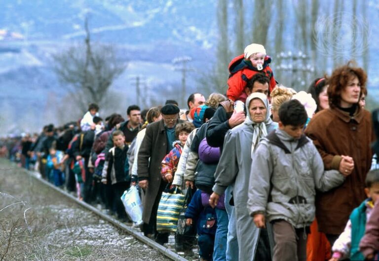 Paunoviçka ua nxori gjumin vetëm budallëve