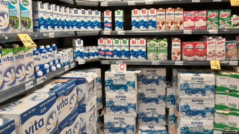 Ndalja e grumbullimit të qumështit rrezikon mijëra fermerë