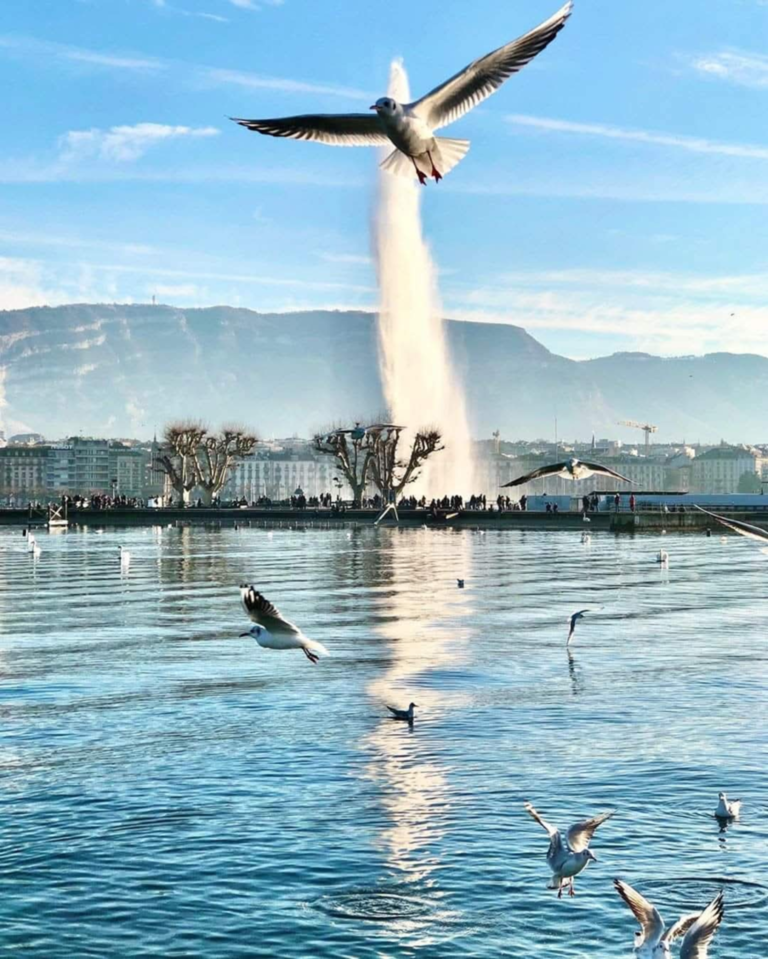 Gjenevë — Tempull i Paqes dhe Humanizmit