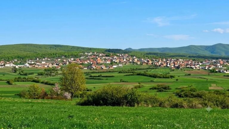 Mleçani…, nën dheun e kujtesës!